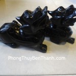 ty-huu-hac-nga-lon-dt1571