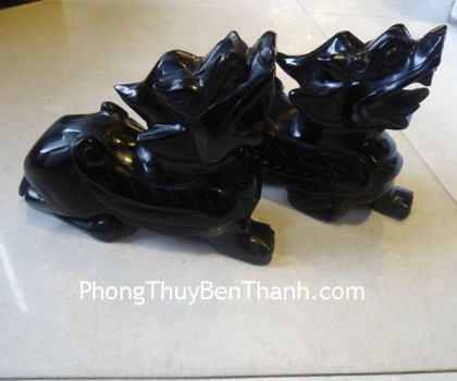 ty-huu-hac-nga-lon-dt1571