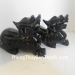 ty-huu-hac-nga-ngam-tien-dt202-03