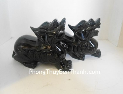 ty-huu-hac-nga-ngam-tien-dt202-03