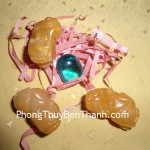 ty-huu-hoang-long-nam-02-s663