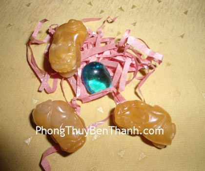 ty-huu-hoang-long-nam-02-s663