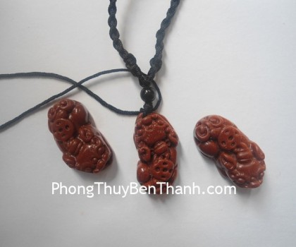 ty-huu-kim-sa-nho-01