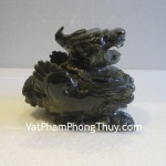 ty-huu-lam-ngoc-ngoi-dt113-1