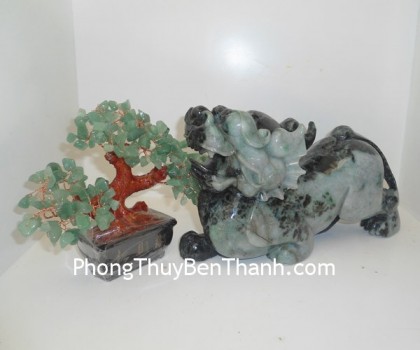 ty-huu-ngoc-phi-thuy-01