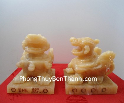 ty-huu-ngoi-hoang-long