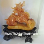 ty-huu-nhu-y-cam-f033-02