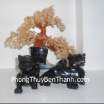 ty-huu-tieu-ngoc-den-01