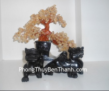 ty-huu-tieu-ngoc-den-01