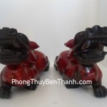 ty-huu-tieu-ngoc-do-trung