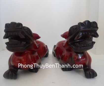 ty-huu-tieu-ngoc-do-trung