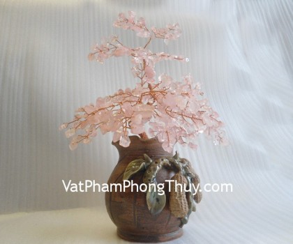 cay-thach-anh-hong-ca242-1