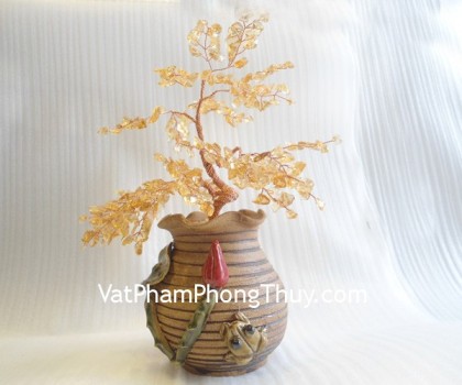 cay-thach-anh-vang-ca244-1