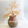 cay-thach-anh-vang-ca244-1
