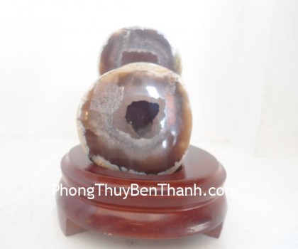 hoc-da-ma-nao-cta13-01