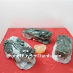 ty-huu-phi-thuy-cam-tay-01