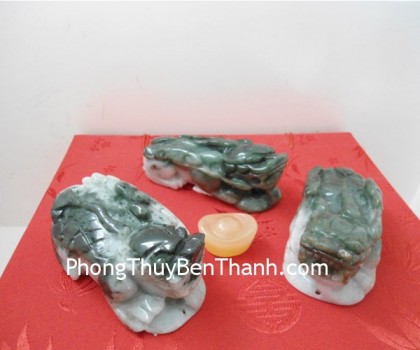 ty-huu-phi-thuy-cam-tay-01