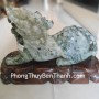 ty-huu-phi-thuy-dung-PT01-04