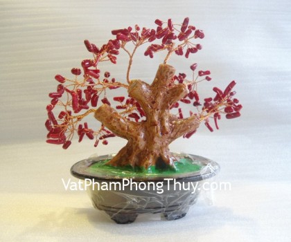 cay-tai-loc-ca223-01