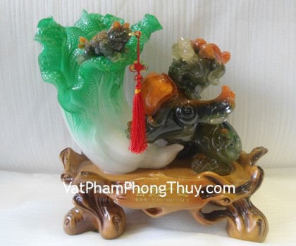 A070-ty-huu-om-bap-cai-01