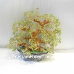 CA241-cay-tai-loac-da-cam-lam-01