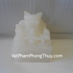 M060-an-rong-bach-ngoc-01