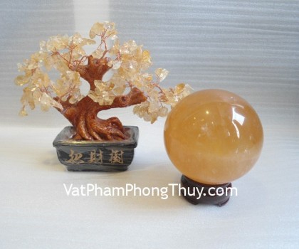 M191-cau-thach-anh-vang-1346-03