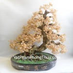 ca201-cay-thach-anh-vang-chau-tron