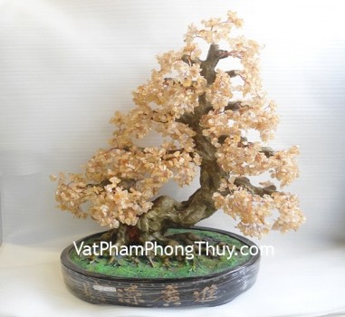 ca201-cay-thach-anh-vang-chau-tron