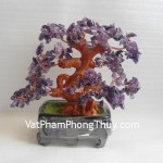 ca232-cay-thach-anh-tim-de-vuong