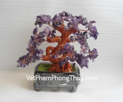 ca232-cay-thach-anh-tim-de-vuong