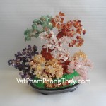 ca251-cay-6-loai-da-02