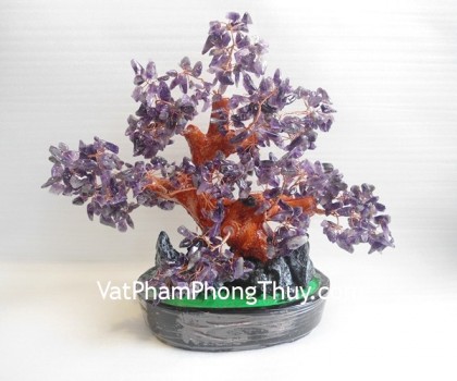 ca256-cay-tai-loc-tim-trung