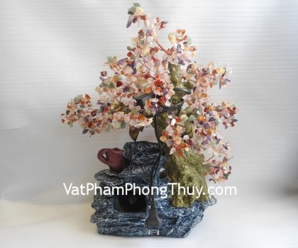 ca259-cay-phong-thuy-luan-nhieu-mau-01