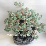 ca262-cay-phong-thuy-luan-dong-linh-02