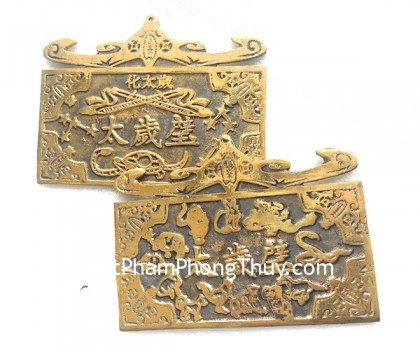 cc1163-bich-thai-tue-02