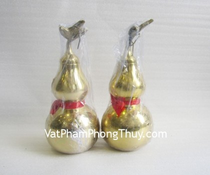 d109-ho-lo-tron-trung