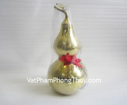 d110-ho-lo-tron-lon-02