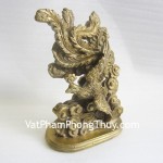 d123-phuong-hoang-02