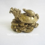 d127-long-quy-cong-con-nho-01