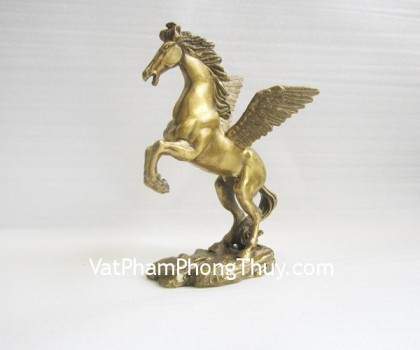 d146-ngua-dong-co-canh-02