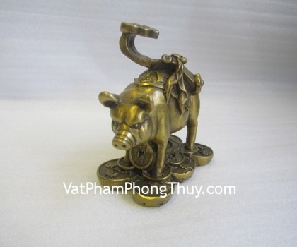 d155-heo-dong-nhu-y-02