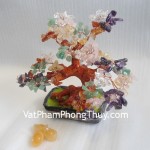 cay-6-mau-trung-CA253-02