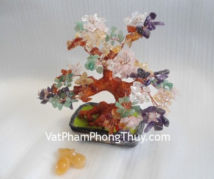 cay-6-mau-trung-CA253-02