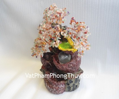 cay-phong-thuy-luan-6-mau-CA260