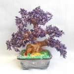 cay-thach-anh-tim-lon-CA255-02