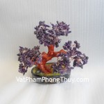 cay-thach-anh-tim-trung-CA257-02