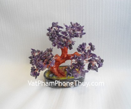 cay-thach-anh-tim-trung-CA257-02