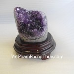 Bong-thach-anh-H082-2783-02