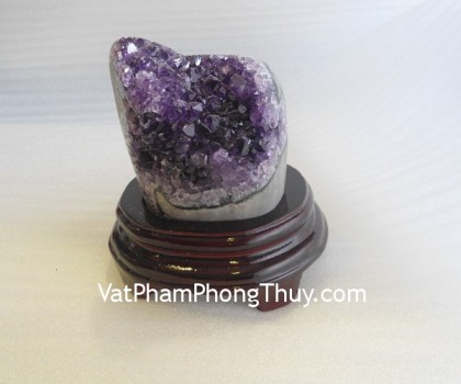 Bong-thach-anh-H082-2783-02